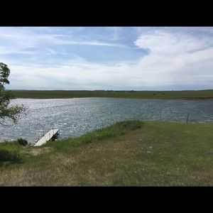 Meet your Posher, Penny